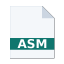 .ASM icon