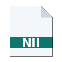 .NII icon